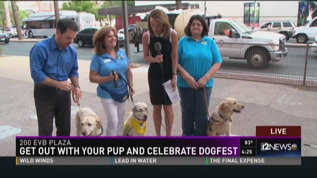 Keluar bersama anjing Anda di Dogfest 2016