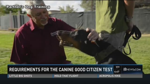 Apa yang diperlukan untuk tes Canine Good Citizen?