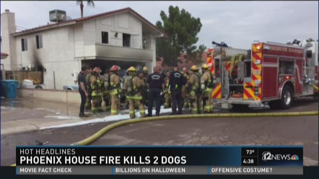 Phoenix house fire kills 2 dogs | 12news.com