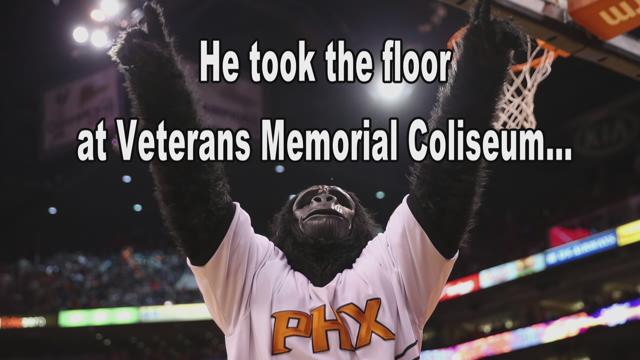 How did a gorilla become the Suns mascot?